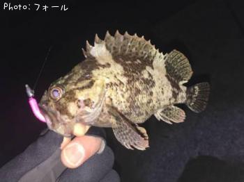 ��饽��
