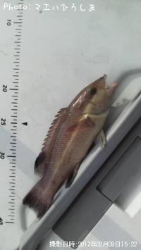 ���֥����λ�