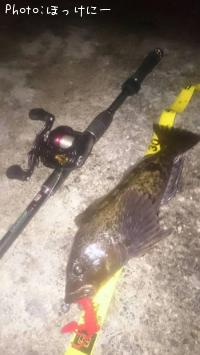 �����ʥ�