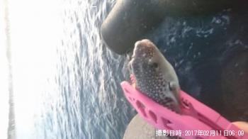 �����ա�