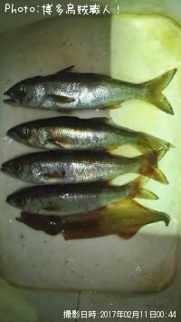 ��ġ���ꥤ��