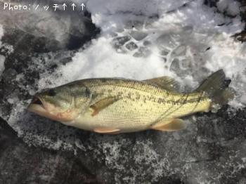 �֥�å��Х�