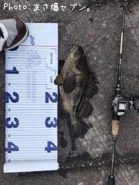 ���ޥ���