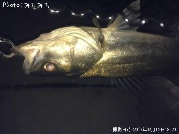 �����Х�