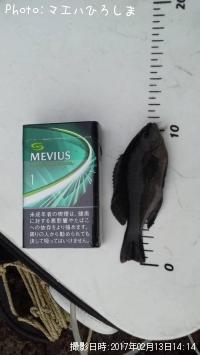 �ߥ˥ߥ˥���