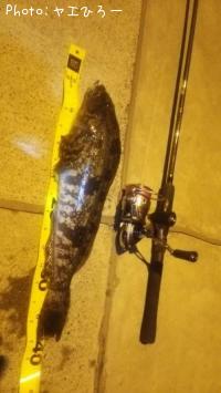 �����ʥ�