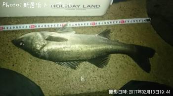 �����Х�