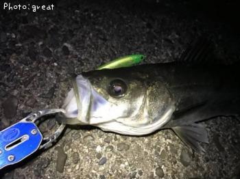 �����Х�