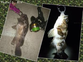 ������������Х�