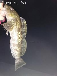 �����ʥ�