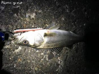 �����Х�