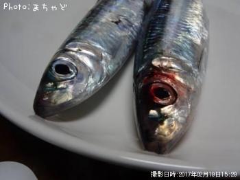 ��ޥȥߥ����ڥ�ޥȥߥ����