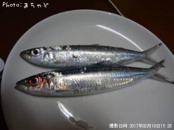 ��ޥȥߥ����ڥ�ޥȥߥ����