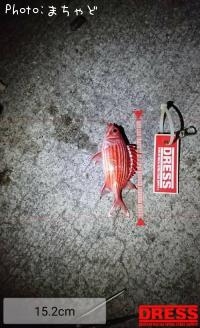 ��������ڥ���ᥨ�ӥ���