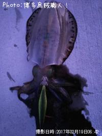 �����ꥤ��