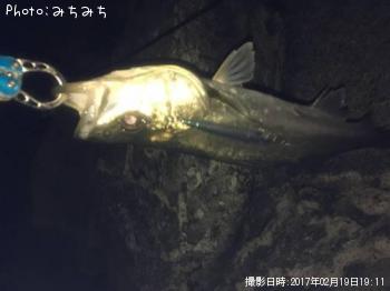 �����Х�