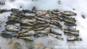 ���˥��ޥ��ʸ���������