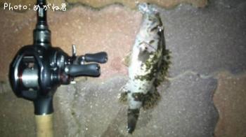 ¥¿¥±¥Î¥³¥á¥Ð¥ë