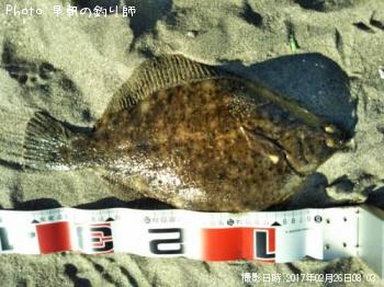 �ޥ����쥤