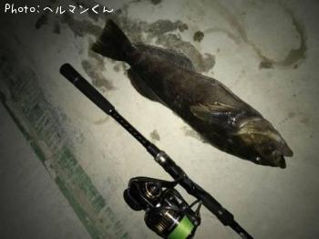 �����ʥ�