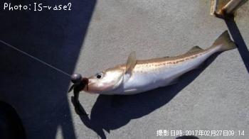 �����ȥ�����