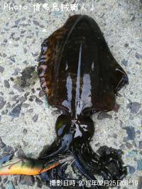 �����ꥤ��