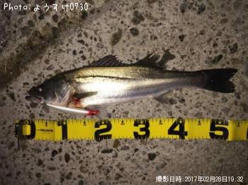 �����Х�