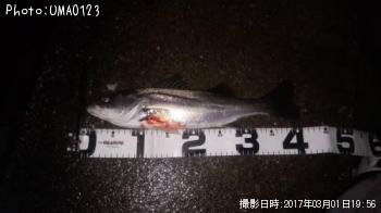 �����Х�