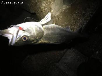 �����Х�