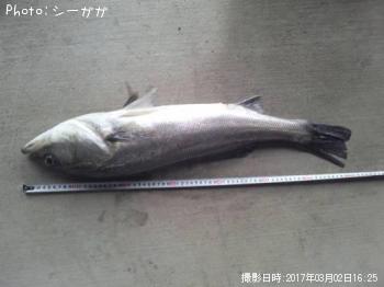 �����Х�