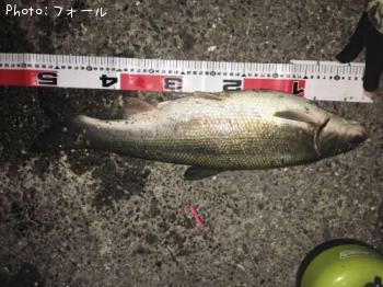 �ޥ륿������