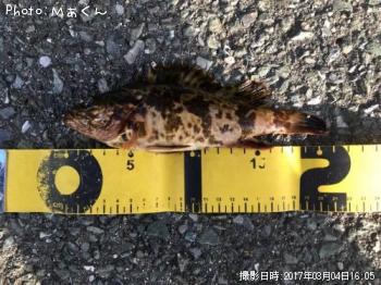 �����Υ���Х�