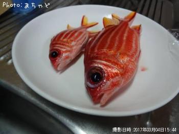 ¥¢¥«¥¤¥æ¡Ú¥¢¥ä¥á¥¨¥Ó¥¹¡Û