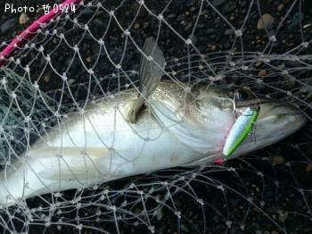 �����Х�