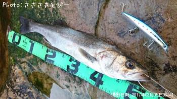 �����Х�