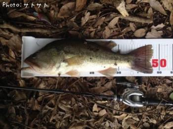 �֥�å��Х�