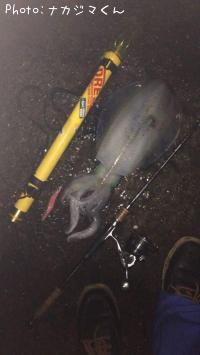 �����ꥤ��