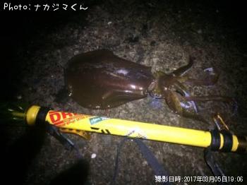 �����ꥤ��