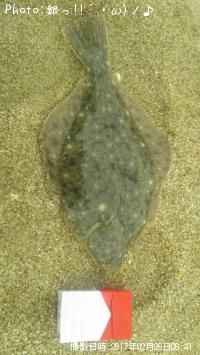 ¥Þ¥³¥«¥ì¥¤