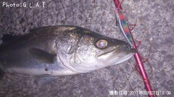 �����Х�