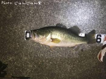 ¥Ö¥é¥Ã¥¯¥Ð¥¹