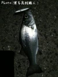 �����Х�