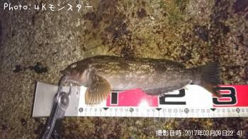 �����ʥ�