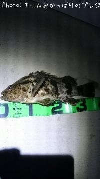 �����Υ���Х�