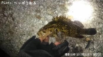 �����Υ���Х�
