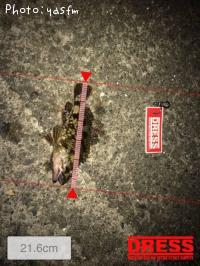 ¥¿¥±¥Î¥³¥á¥Ð¥ë