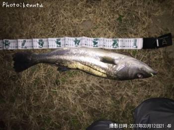 �����Х�