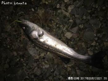 �����Х�