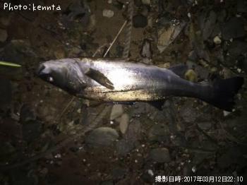 �����Х�