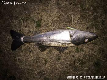 �����Х�